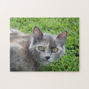 Dilute Gray Tortoiseshell Cat in Grass Jigsaw Puzzle