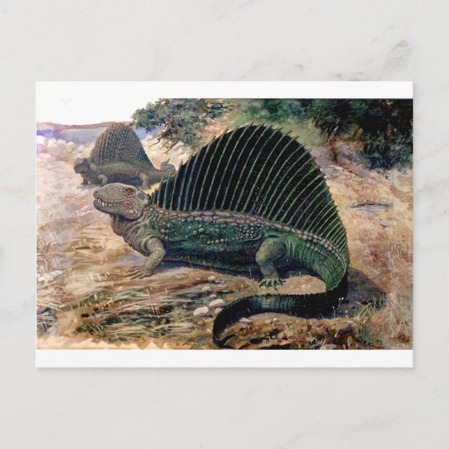 dimetrodon-1 postcard (Front)