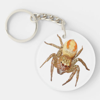 Dimorphic Jumping Spider (Maevia inclemens) Key Ring