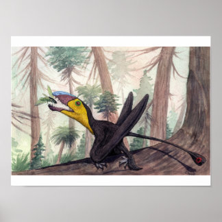 Dimorphodon Print