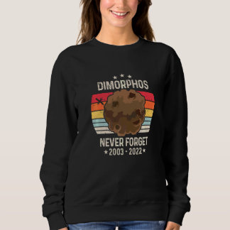 Dimorphos Never Forget Crash It Good Dart Space Pr Sweatshirt