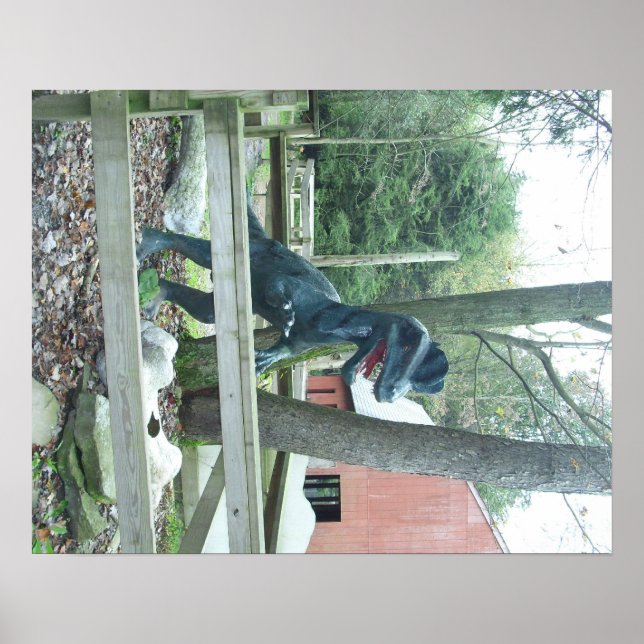Dinasaur Poster (Front)