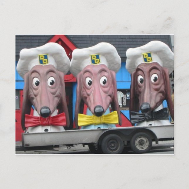 Diner Dogs Postcard (Front)