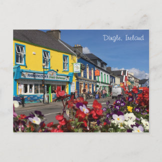 Dingle, Ireland Postcard