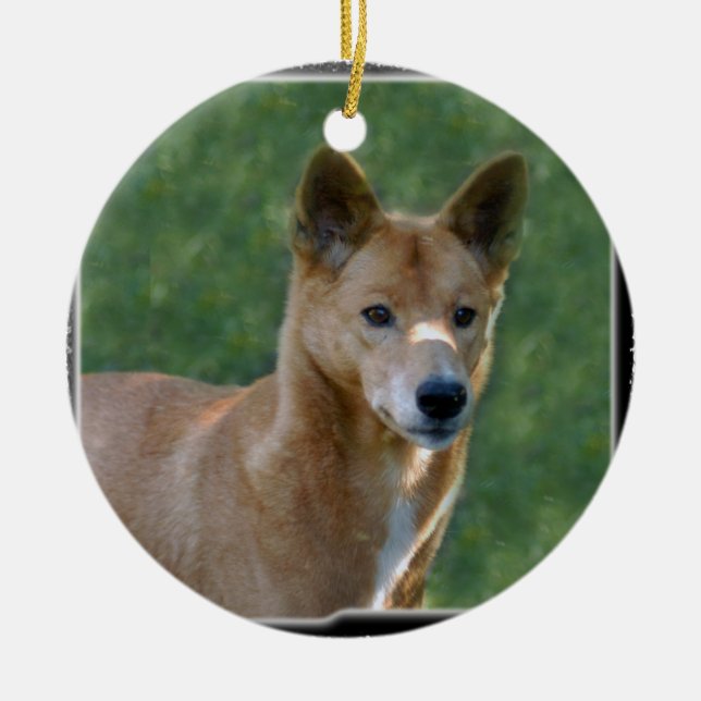 Dingo Christmas Ornament (Front)