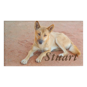 Dingo name tag