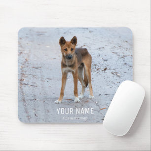 Dingo Wild Dog Australia Fraser Island Animal Mouse Pad