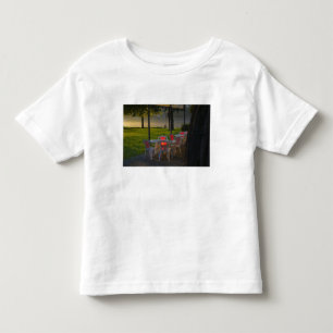 Dining table and chairs by the Danube River, Toddler T-Shirt
