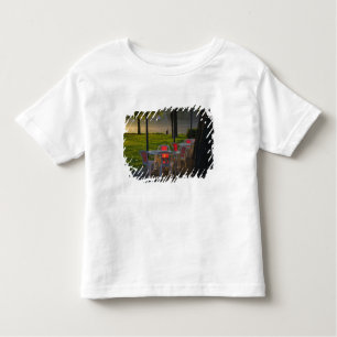 Dining table and chairs by the Danube River, Toddler T-Shirt