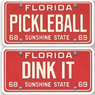 Dink It Pickleball Fan Retro FL License Plate 2pc
