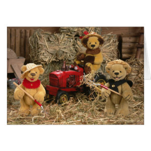 Dinky Bears: Farmer Kids