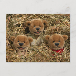 Dinky Bears: Farmer Kids Postcard