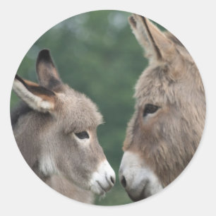Dinky donkey classic round sticker