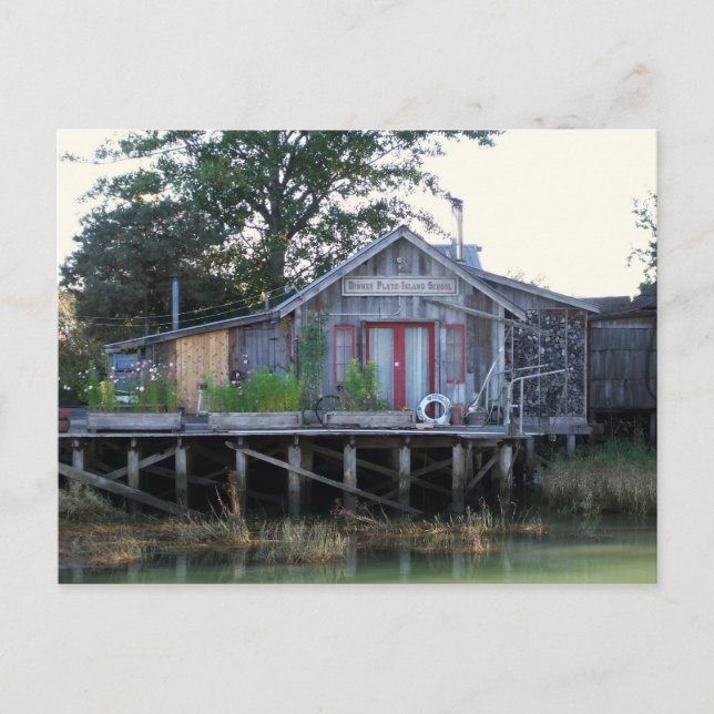 Dinner Plate Island School Postcard (Front)