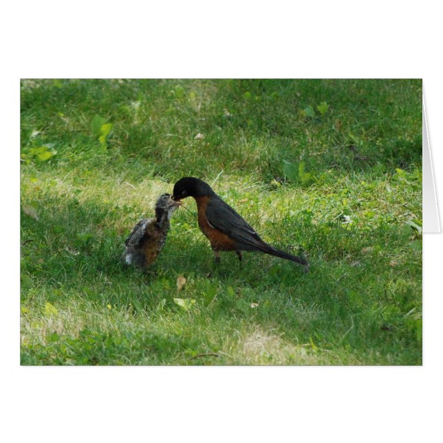 Dinner Time! (Front Horizontal)