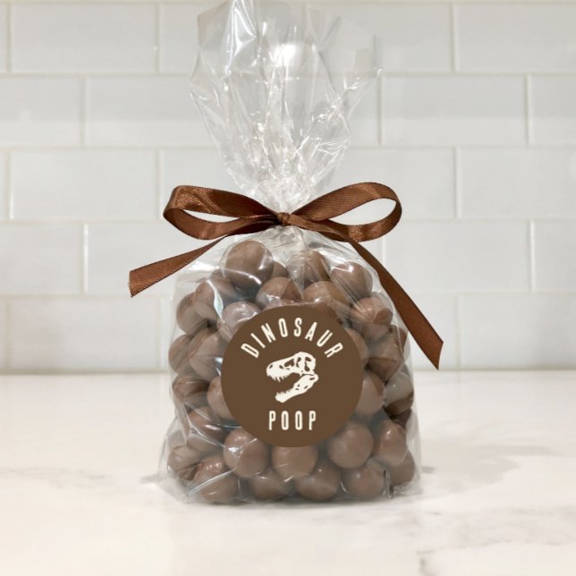 Dino Dig Dinosaur Poop Excavation Birthday Treat Classic Round Sticker (Creator Uploaded)