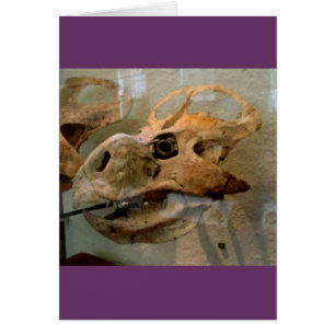 Dino Skull