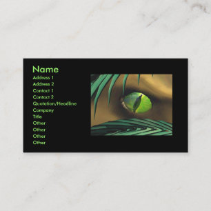 Dino Spy Business Card