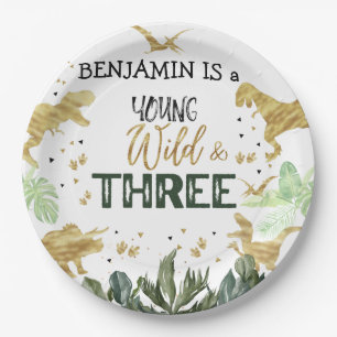 Dinosaur 3rd Birthday boy Party Paper Plate
