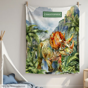 Dinosaur Birthday Blanket Boys Personalised Gift