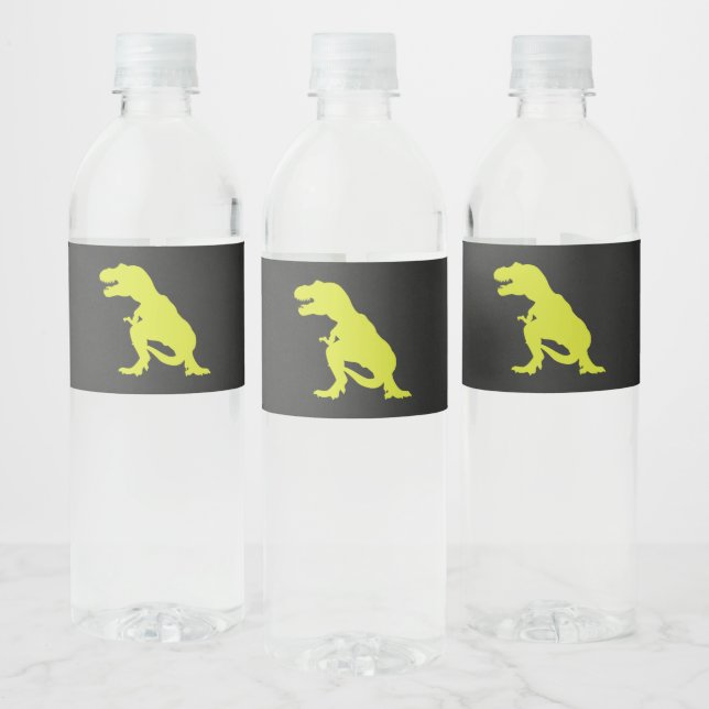 Dinosaur Birthday Modern T Rex Water Bottle Label (Bottles)
