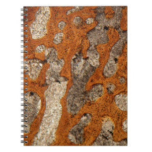 Dinosaur bone under the microscope spiral notebook