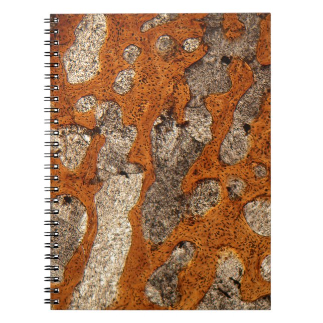 Dinosaur bone under the microscope spiral notebook (Front)