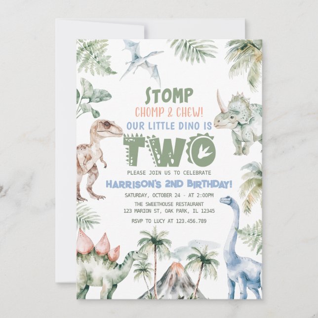 Dinosaur Boy Dino Birthday Party Invitation (Front)