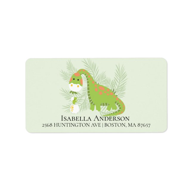 Dinosaur Boys Baby Shower Address Label (Front)