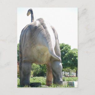 Dinosaur Brontosaurus Postcard