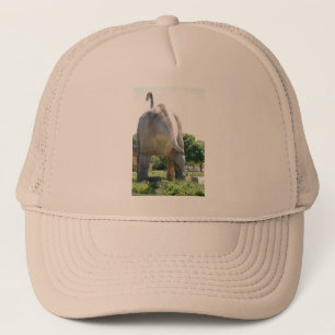 Dinosaur Brontosaurus Trucker Hat