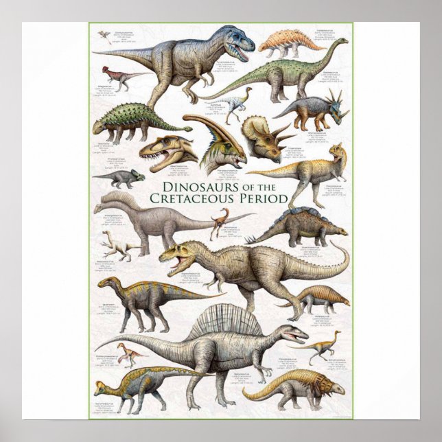 Dinosaur chart background (Front)