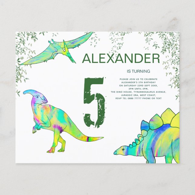 Dinosaur colourful Birthday Party budget Flyer (Front)