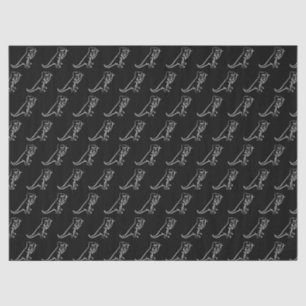 Dinosaur Eating Fish  Tissue Paper