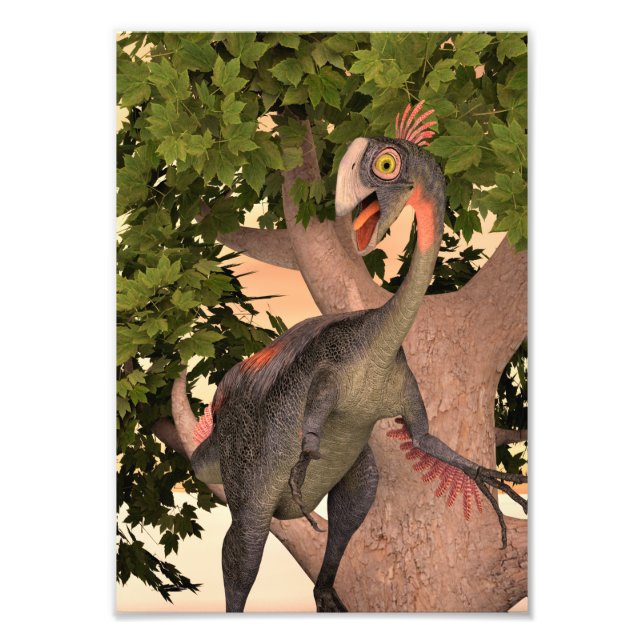 Dinosaur Gigantoraptor Photo Print (Front)