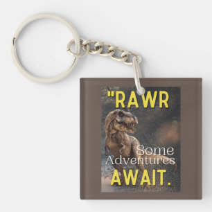 dinosaur key ring