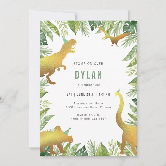 Dinosaur Kids Birthday Invitation (Front)
