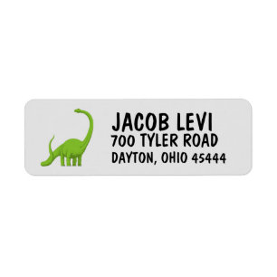 DINOSAUR KIDS BOYS Return Address Label