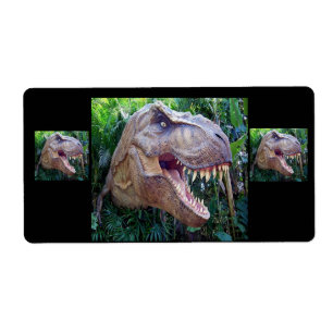 Dinosaur labels for kids