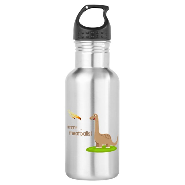 Dinosaur Meteor Meatballs 532 Ml Water Bottle (Front)