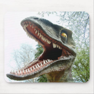 Dinosaur Mousemat