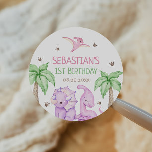 Dinosaur One-A-Saurus Girl 1st Birthday Party Classic Round Sticker