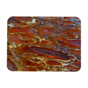 Dinosaur Petrified Bone Magnet