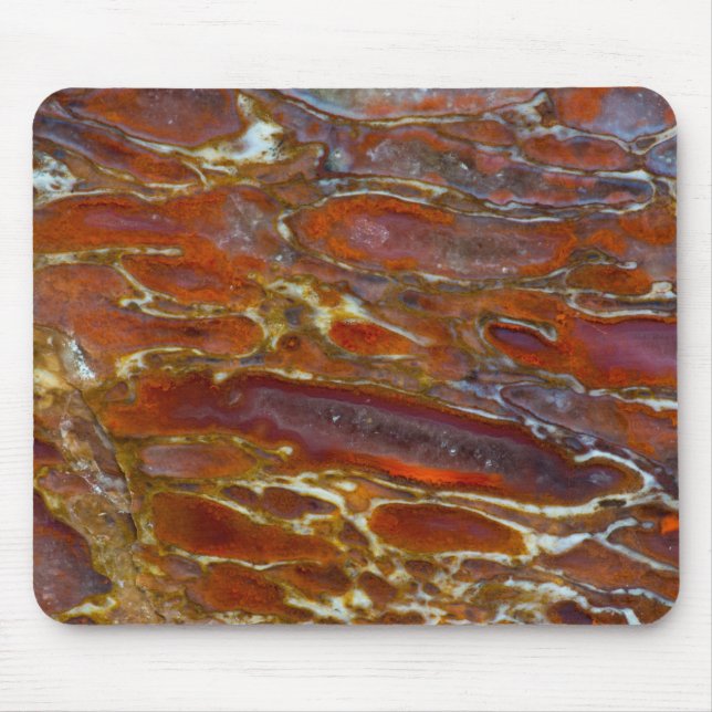 Dinosaur Petrified Bone Mouse Pad (Front)
