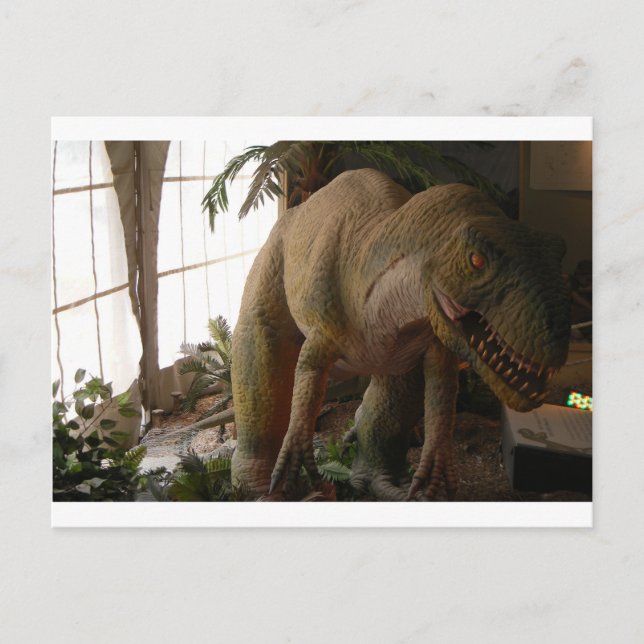 dinosaur postcard (Front)