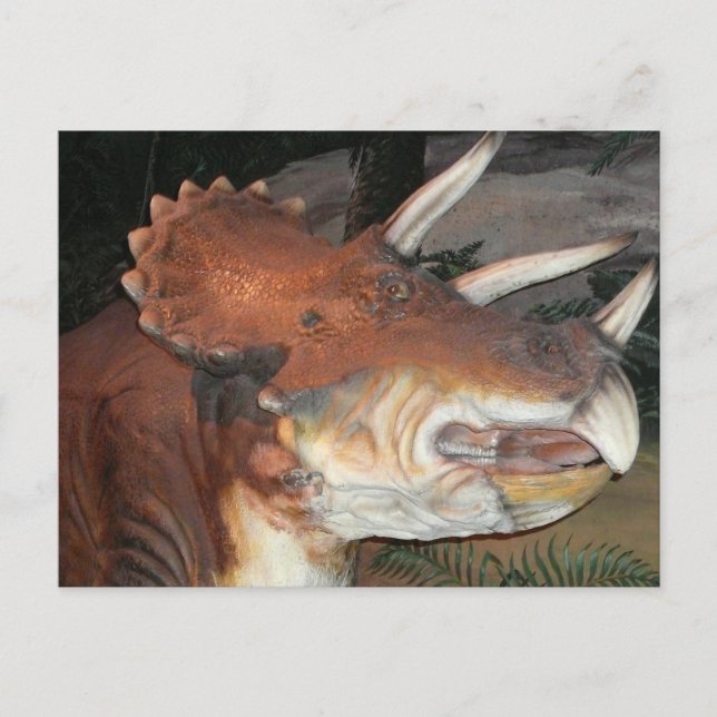 Dinosaur postcard (Front)