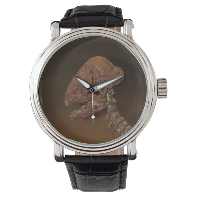 Dinosaur Skull T-Rex Dino Skeleton Head Bone Photo Watch (Front)