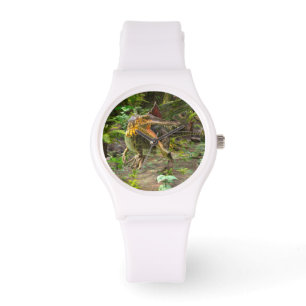 Dinosaur Spinosaurus Watch