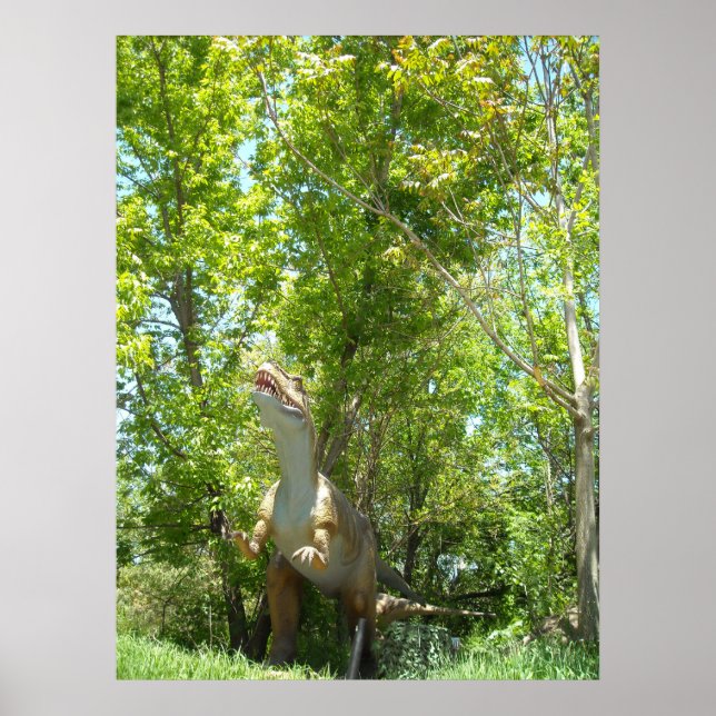 Dinosaur T-Rex Poster (Front)