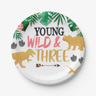 Dinosaur Third Birthday Party Plates